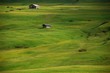 Prati e Capanni sull'Alpe di Siusi 1