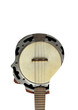 chitarra