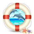 Lifebouy