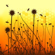 vector grass silhouettes backgrounds and bees