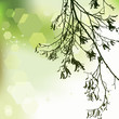 Autumn background, ornament