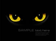 Cat eyes in dark night  Vector background