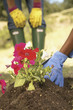 Low section of women gardening