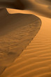 Desert Dune of Abu Dhabi