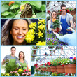 Gardening couple.