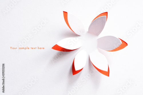 Foto: Greeting card whith paper flower Greeting card whith paper flower