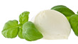 Mozzarella cheese and fresh basil (with clipping path) Mozzarella cheese and fresh basil (with clipping path)