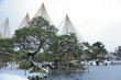 冬の兼六園