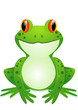 Vektor: Funny toad cartoon Funny toad cartoon