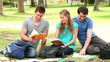 Video: Three friends talking and laughing as they study books while sitting in a park Three friends talking and laughing as they study books while sitting in a park