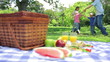 A family is dancing in a circle before falling down behind a picnic