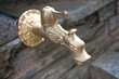 Drinking Fountain