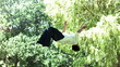 Man performing a back-flip in slow motion