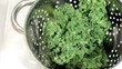 Kale falling into sieve in super slow motion