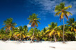 Beautiful caribbean beach