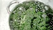 Kale being washed in super slow motion