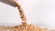 Video: Peanuts falling down in super slow motion Peanuts falling down in super slow motion
