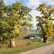 Road and bridge in English parkland