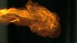Burning fire in super slow motion