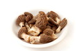 Morel Mushroom