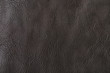 texture of leather