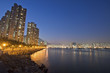 Hong Kong downtown along the coast at night Hong Kong downtown along the coast at night