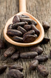 cocoa beans in wooden spoon cocoa beans in wooden spoon