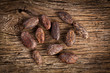 cocoa beans cocoa beans