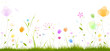 frise florale