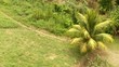Regenwald, Personen, Peru