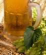 glass of beer