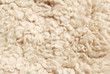 sheep fur texture.