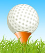 Golf ball on the grass