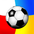 Vektor: EM Polen Ukraine EM Polen Ukraine