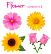Big set of beautiful colorful flowers. Design flower set