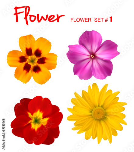 Vector: Big set of beautiful colorful flowers. Design flower set Big set of beautiful colorful flowers. Design flower set