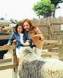 Mother and daughter feeding sheep
