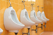 white porcelain urinals