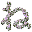 Japanese Characters hiragana, made from flower photo.