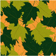 camouflage