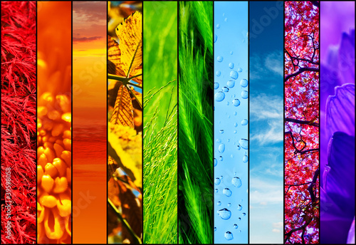 Photo: colourful nature collage colourful nature collage