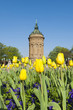 Foto: Wasserturm Mannheim Wasserturm Mannheim