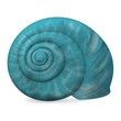 3d render of sea shell 3d render of sea shell