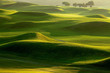 golf place with nice green