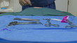 Surgeon at work