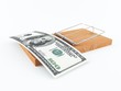 Mouse trap with 100 dollar bill