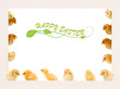 Lots of baby chicken on a frame