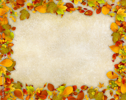 Illustration: Autumn leaves frame on old paper background Autumn leaves frame on old paper background