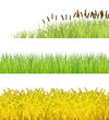 Plants are on a white background.