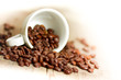 Kaffeetasse